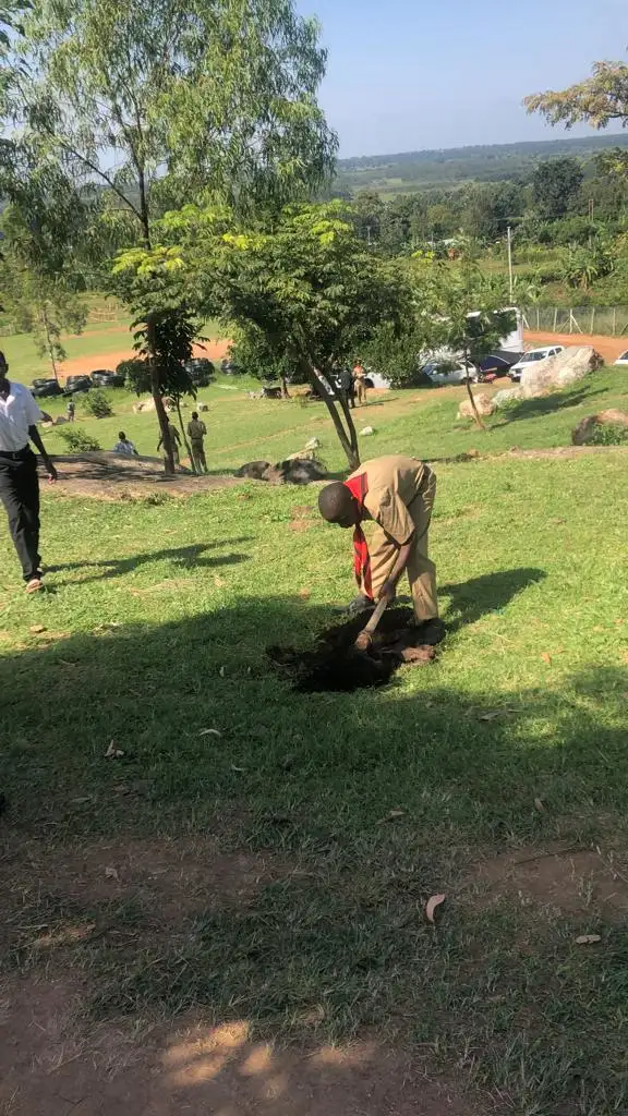 Scouts tree planting at Amus College